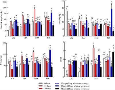 Non-structural carbohydrate dynamics of Pinus yunnanensis seedlings under drought stress and re-watering